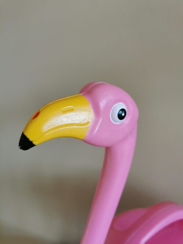 Gieter Flamingo - Afbeelding 2