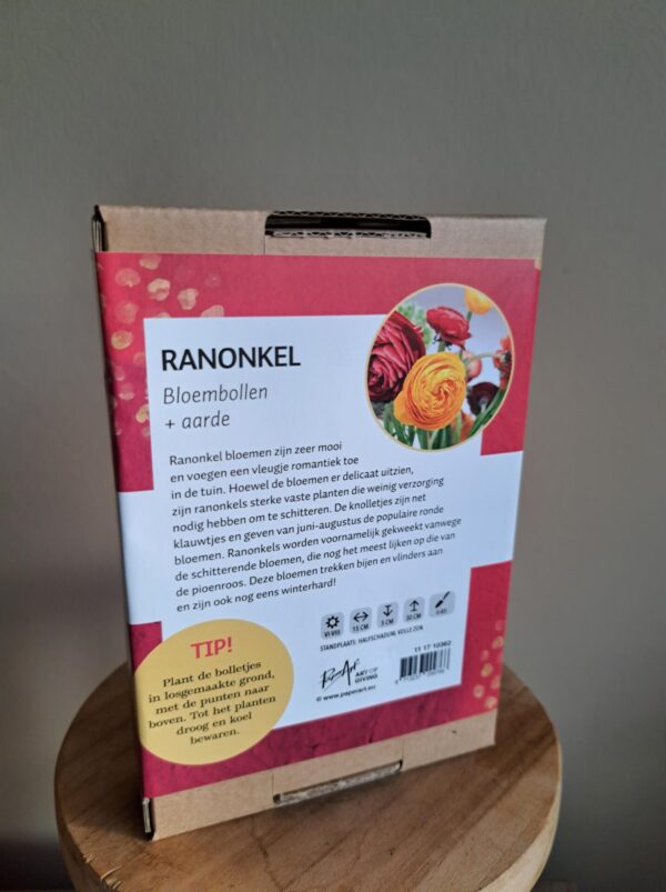 Ranonkel Bloembollenmix - Afbeelding 2