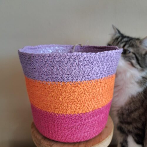Mand Lila/Oranje/Roze