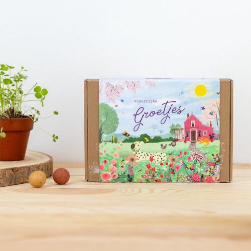 Blossombs - Medium Giftbox 'Kleurrijke groetjes'