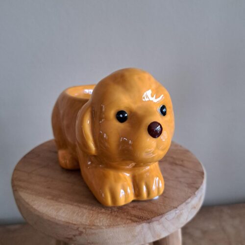 Bloempot Hond - Doodle
