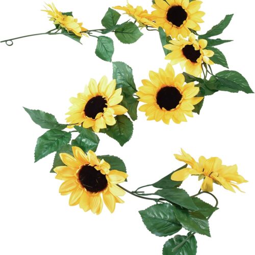 Zonnebloem slinger 'Everlands'